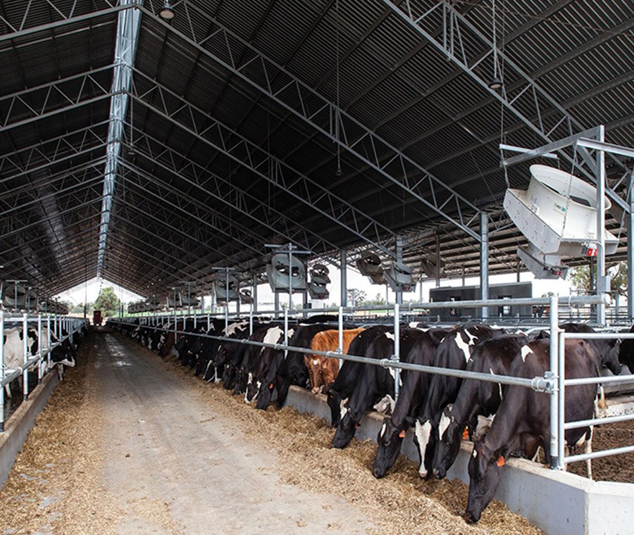 未标题-2_0009_cattle shed (11)