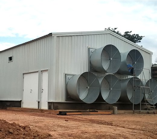 512㎡Cases of modern-equipped steel-structured chicken houses in Zambia