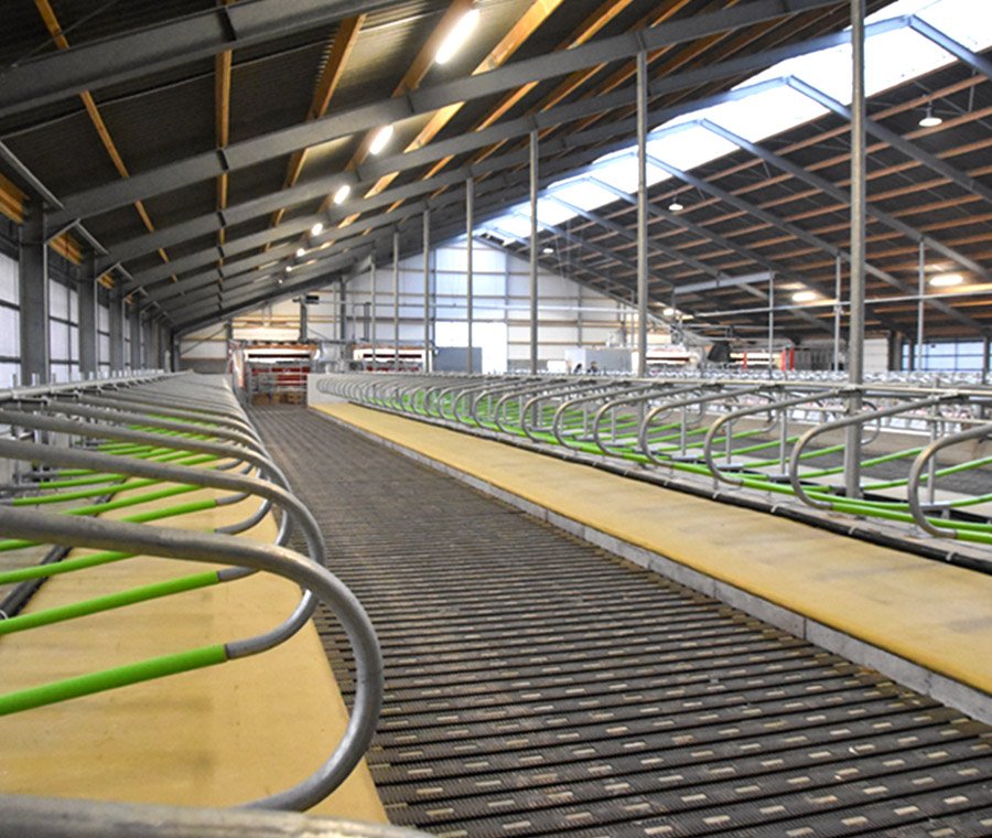 未标题-3_0000_144-959q