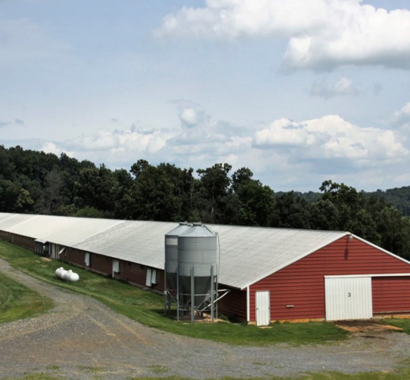 Customizable High-Strength Steel Structure Farm Buildings Sustainable Solution for Chicken Houses Farmhouses for Agricultural