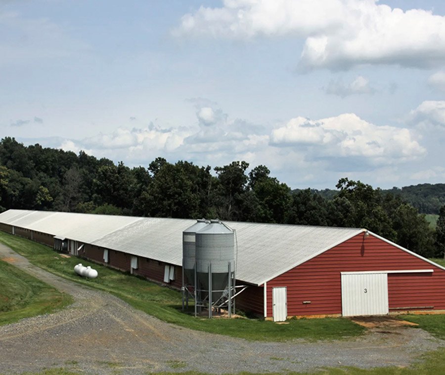Customizable High-Strength Steel Structure Farm Buildings Sustainable Solution for Chicken Houses Farmhouses for Agricultural