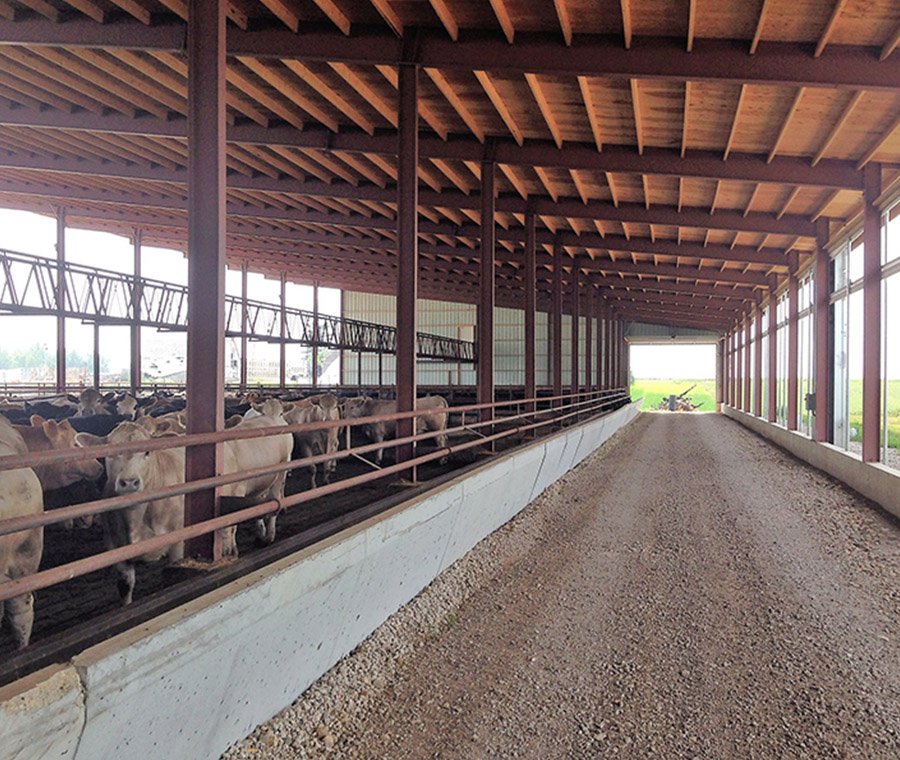 未标题-2_0005_cattle shed (4)