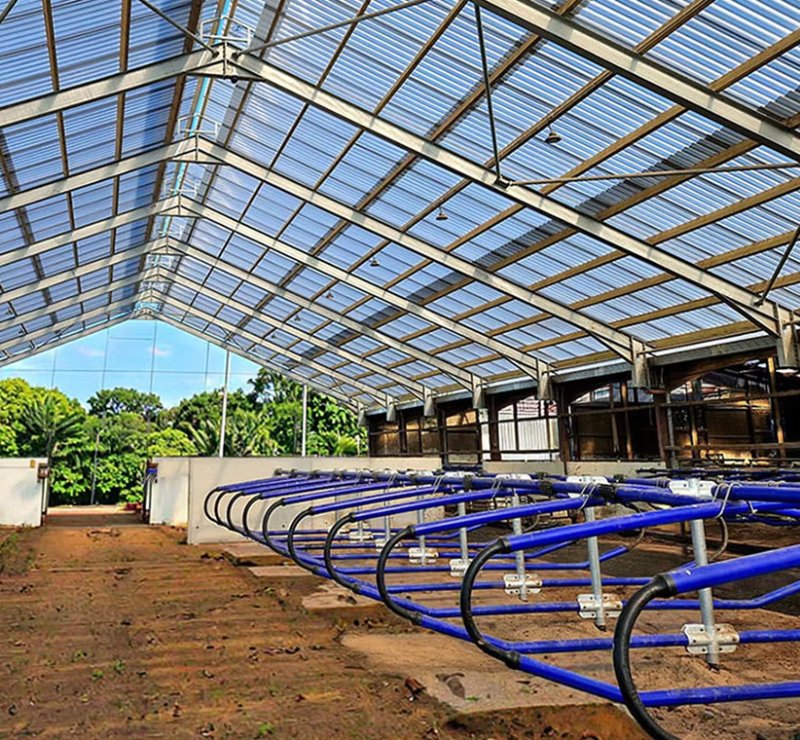 Prefabricated Horse Riding Barn Steel Structure Building Livestock Dairy Cow Farm Building Sheep Goat Farming Sheds