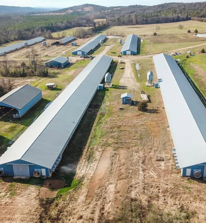 Steel Structure Workshop Engineering House Frame Chicken House Steel Structure Warehouse Undertake Steel Structure Building