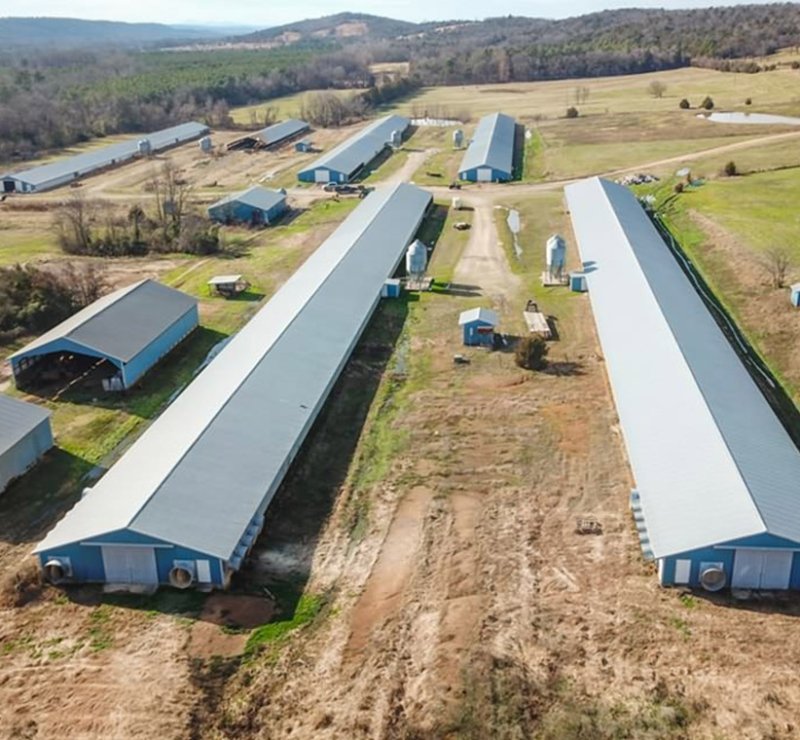 Steel Structure Workshop Engineering House Frame Chicken House Steel Structure Warehouse Undertake Steel Structure Building