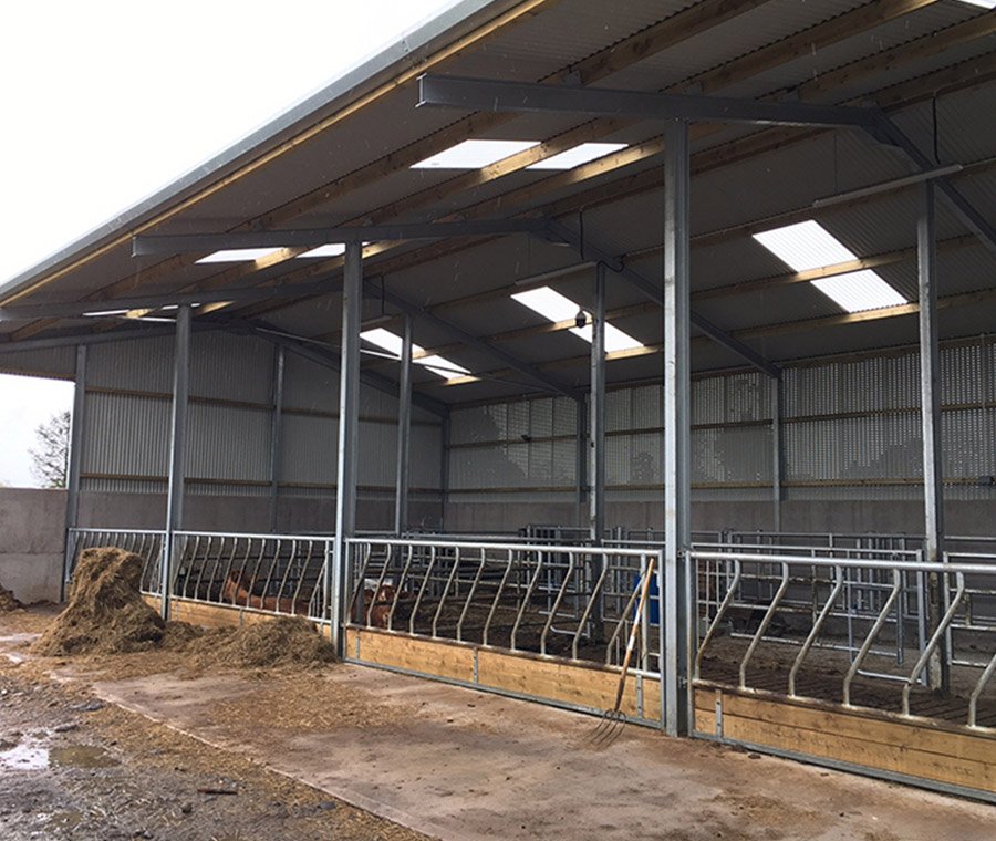 未标题-2_0010_cattle shed (12)