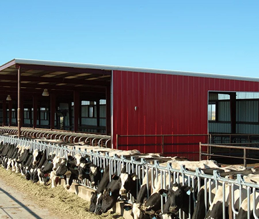 未标题-3_0001_960-6