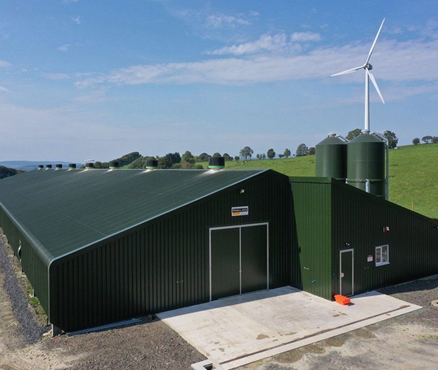 未标题-3_0003_Chicken farm 4