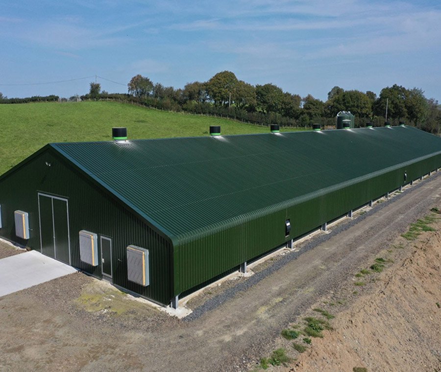 未标题-3_0002_Chicken farm 3