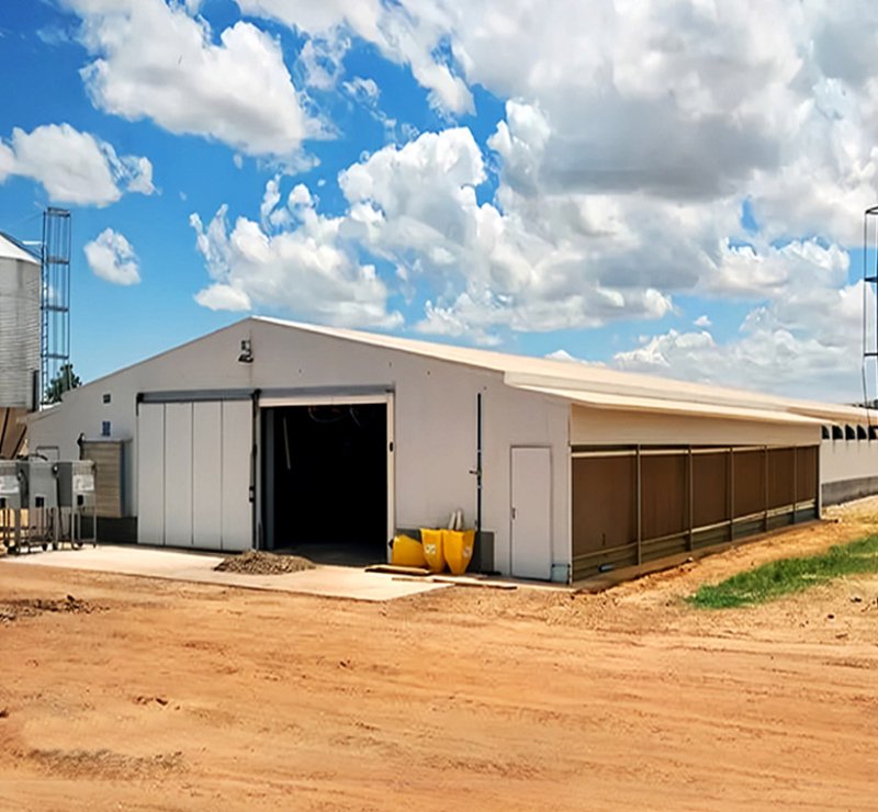 Custom Agricultural Storage Solutions Prefab Barn Shed Chicken House Steel Structure Farm Building Manufacturer Custom