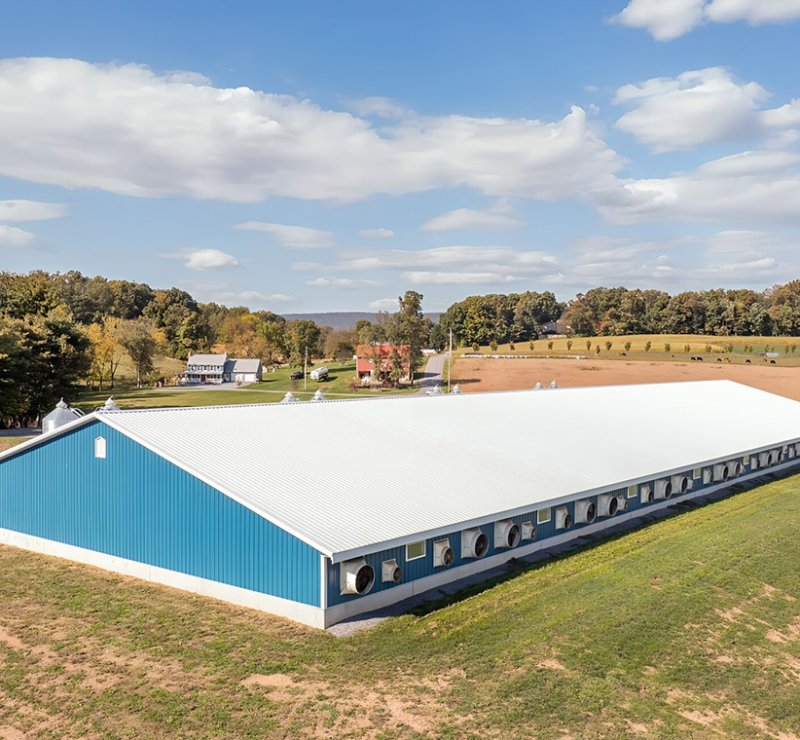 Light Steel Structure  Chicken Houses Building