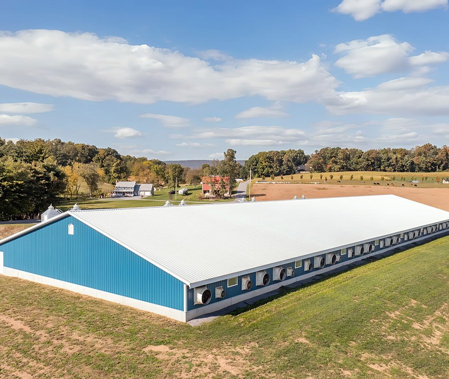 Light Steel Structure  Chicken Houses Building