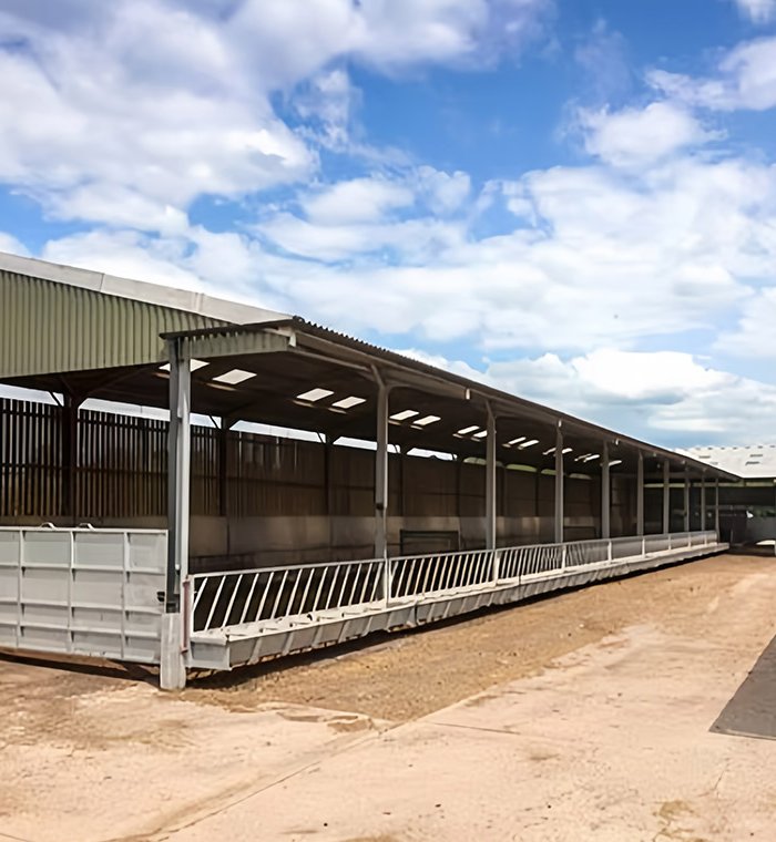 Lightweight Prefabricated Cow Shed ASTM Standard Steel Structure Insulated Sandwich Panels Welding for Cattle Farm Building