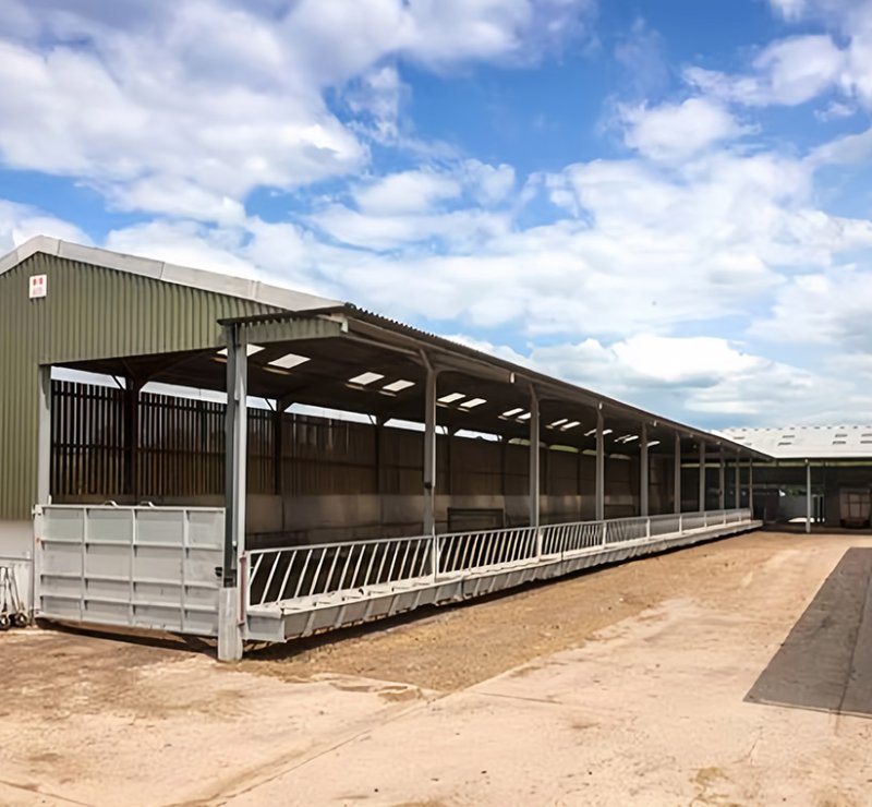 Lightweight Prefabricated Cow Shed ASTM Standard Steel Structure Insulated Sandwich Panels Welding for Cattle Farm Building