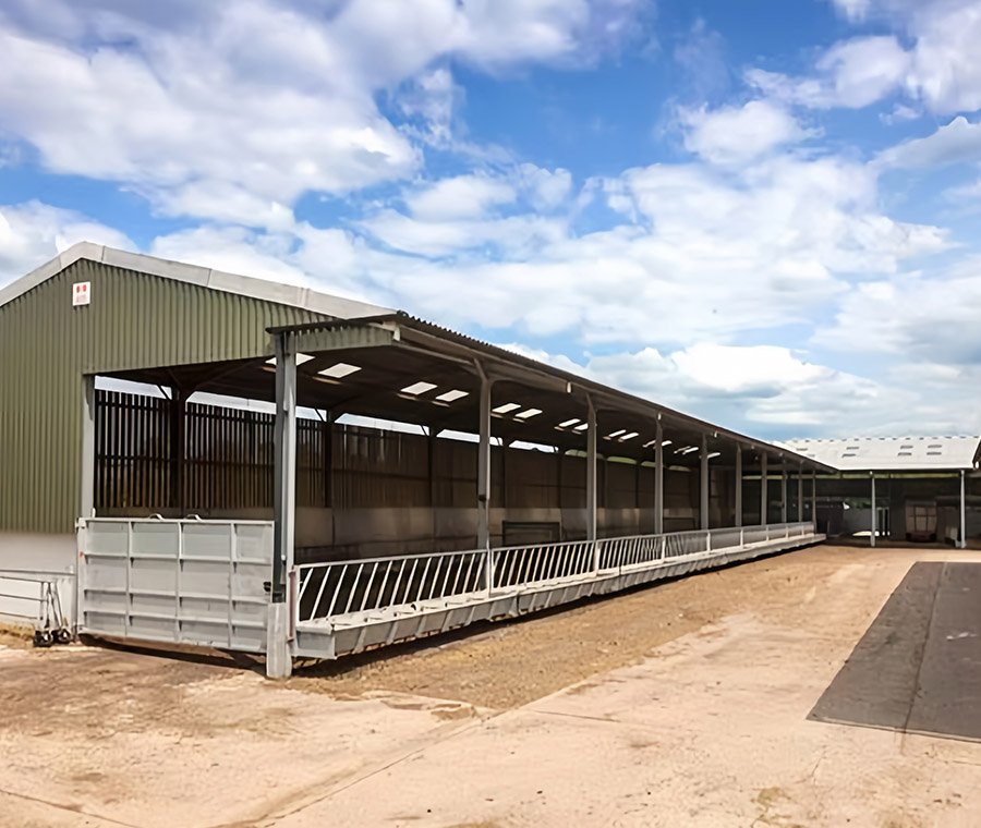 未标题-3_0004_新2