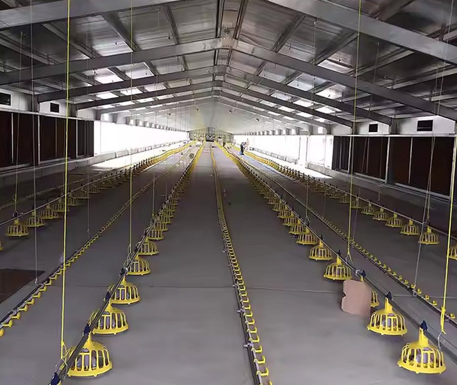 未标题-3_0003_204