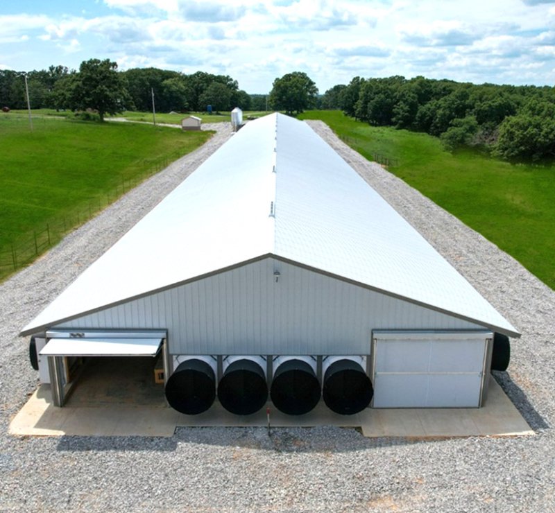 Commercial Prefabricated Steel Structures  Chicken Houses 