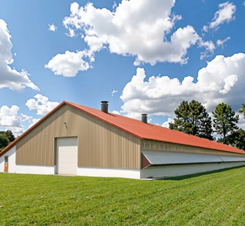 Steel Building Kits For Chicken Houses Construction Management