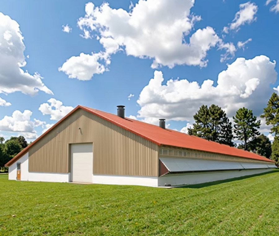Steel Building Kits For Chicken Houses Construction Management