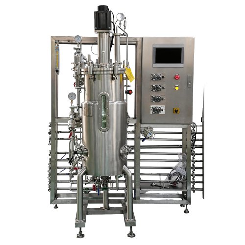 Stainless Steel Microbial Fermentor
