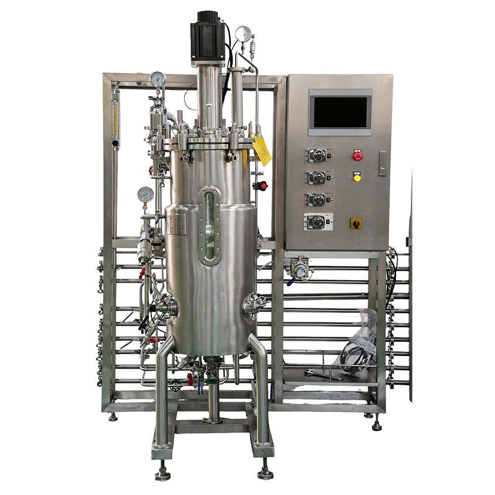 Stainless Steel Microbial Fermentor