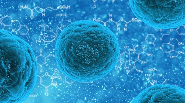 Challenges and Breakthrough Strategies in Stability During Protein Drug Formulation Development