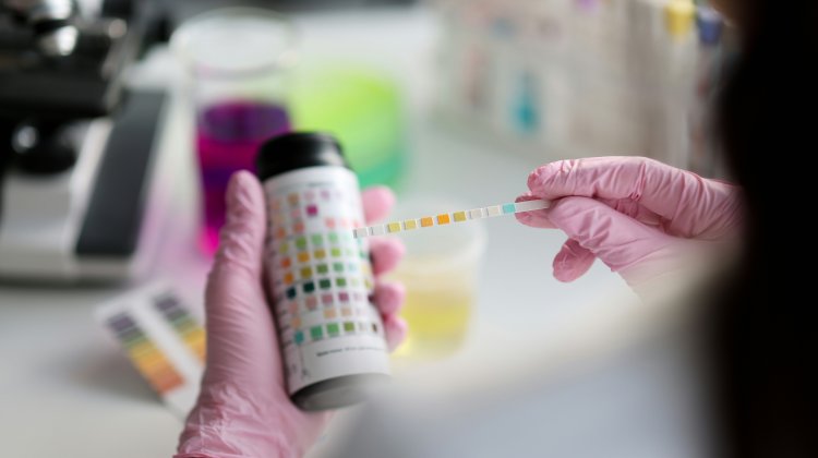 Why Is pH Control Central to the Fermentation Process? A Comprehensive Guide