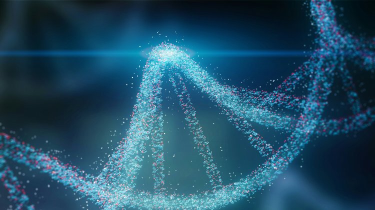 Tackling Pain Points in CHO Cell Line Development: From Gene Editing to High-Throughput Screening