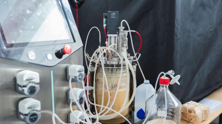 Comprehensive Guide to Impellers and Stirrings for Bioreactors& Fermenters