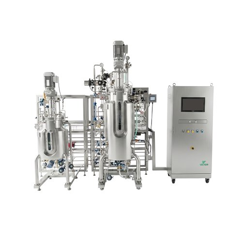 Stainless Steel Multi-Step Fermentor