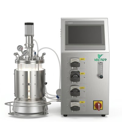 VEC-XJGG