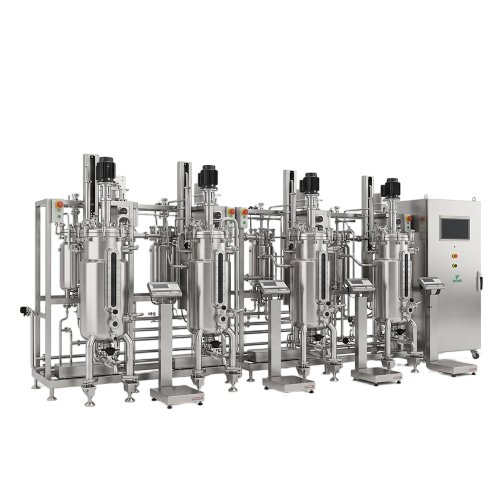 Stainless Steel Multiple Fermentor