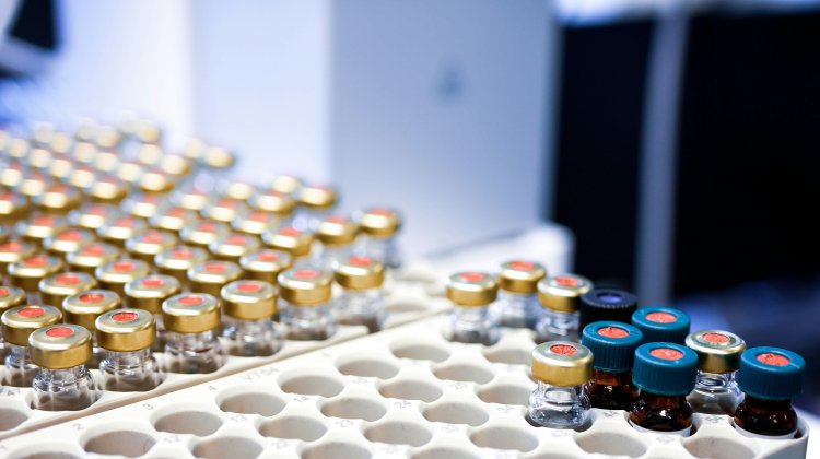 CMC Safety and Efficacy in Gene and Cell Therapy