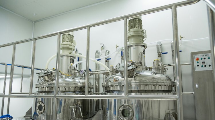 All-in-One Guide to Fermenter/Reactor Valve Selection