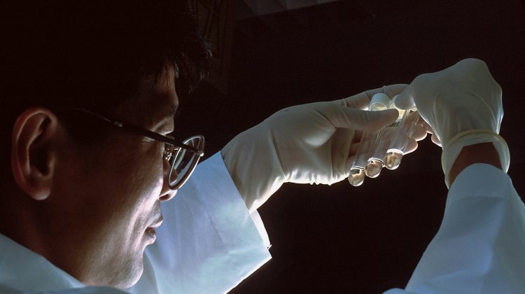 A Comprehensive Breakdown of the Complete Purification Process for Antibody Drugs