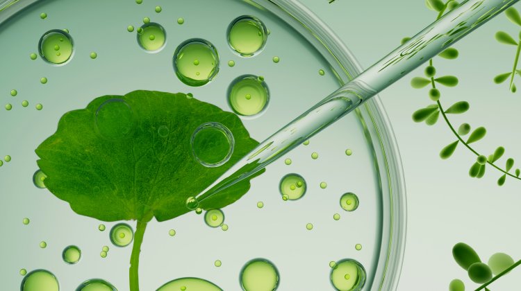 When ARTP Meets Microfluidics: Recent Advances in Next-Generation High-Throughput Microbial Selection Systems
