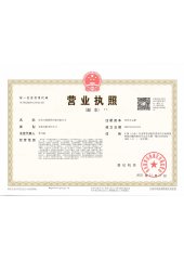 _0000_营业执照（副本）（2025.11.11）_01