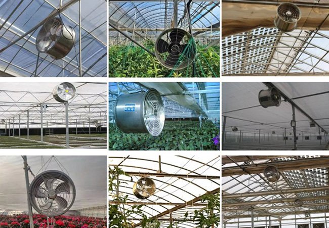 未标题-4_0000_未标题-2_0000_图片 10