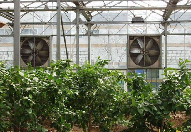 案例_0002_图片 19