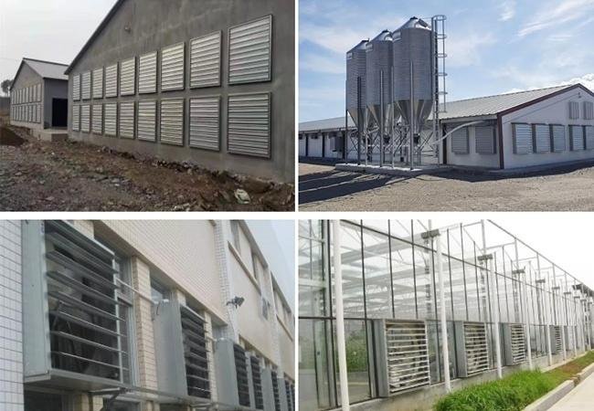 案例_0000_图片 13