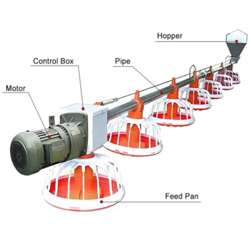 Automatic Pan Feeding Line