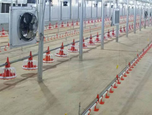 未标题-4_0009_图层 1