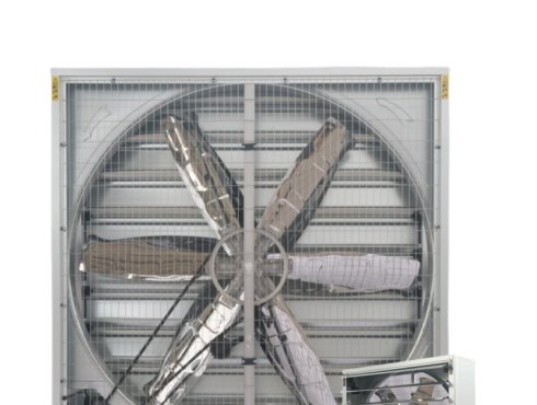 ​ Negative Pressure Fans Redefine Ventilation and Cooling in Industry and Agriculture