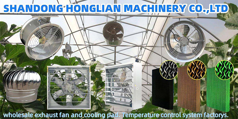 未标题-1_0000_未标题-1_0000_图片 1