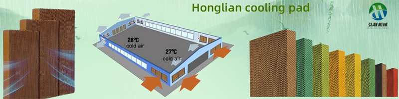 未标题-4_0000_图片 1