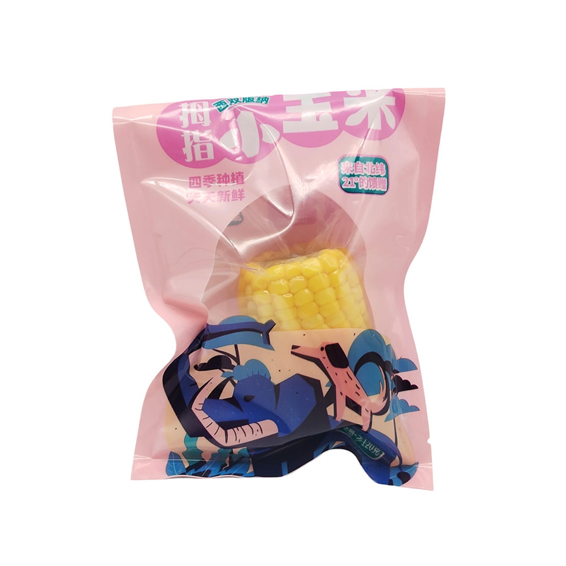 Stand-Up Zippered Window Pocket