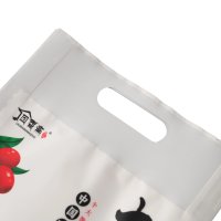 Back-sealed and center-sealed accordion bag