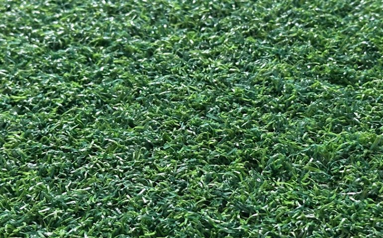 Mixed Green