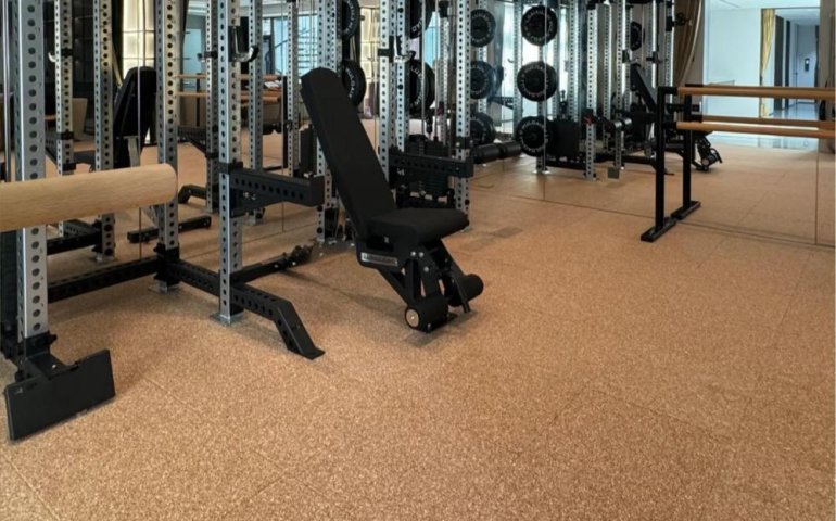 Gym Use