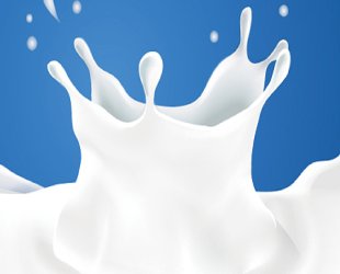 Dairy Products